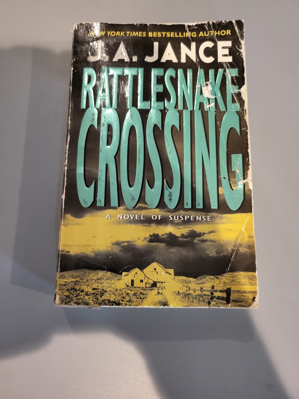 Rattlesnake Crossing - Turquoise and Yellow Paperback